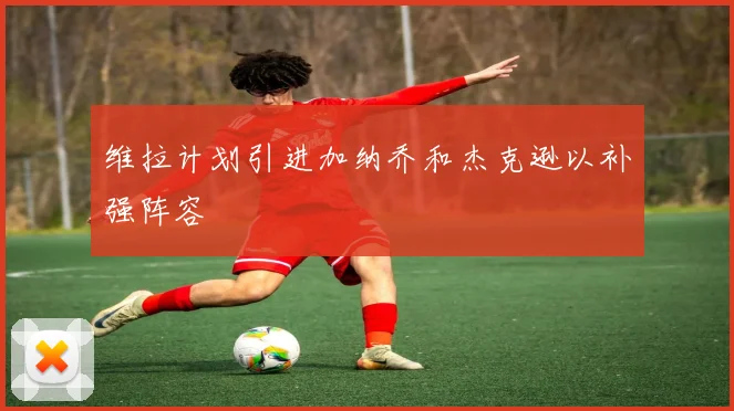 维拉计划引进加纳乔和杰克逊以补强阵容